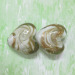 gold sand heart lampwork glass beads