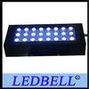 450nm - 460nm Cree Dimmable 72w Led Reef Aquarium Lights for Coral Reef Fish Tank