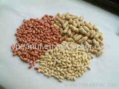 Chinese new peanut kernels