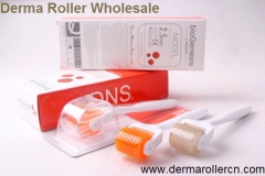 WY-615 DNS derma roller