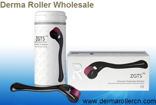 zgts derma roller