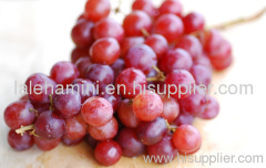 red grape juice concentrate