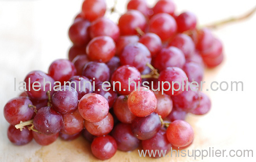 Redgrape Juice Concentrate