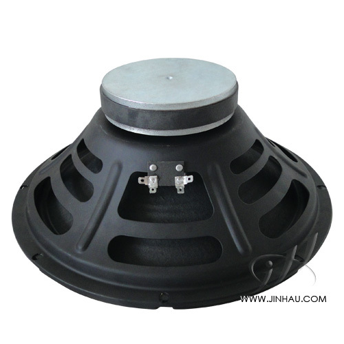 8 inch GITA Speaker / Guitar Speaker