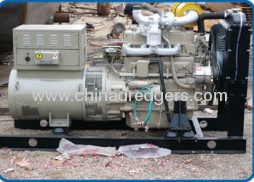 Diesel engine electricity generator