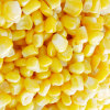 FROZEN SWEET CORN KERNELS IQF SWEET COR SWEET CORN