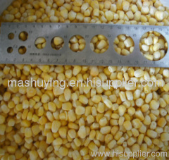 FROZEN SWEET CORN KERNELS IQF SWEET COR SWEET CORN