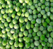 FROZEN VEGETABLES FROZEN GREEN PEAS