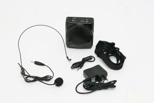 Classroom voice amplifier