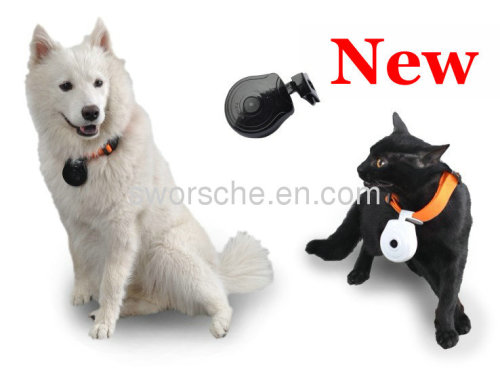 Pet Camera with LCD Screen Displaying Telephone Number