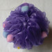 bath net sponge ball