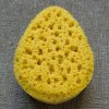 OEM colorful baby sponge manufacturer