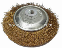 steel wire brush