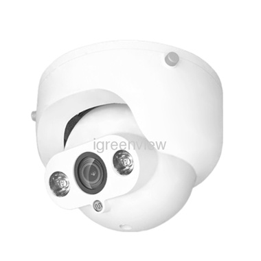 Array LED IR Dome Cameras