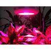 90W Waterproof Ip44 Pc Sheet 3650lm Led Panel Grow Lights With AC85 - 265V RoHS