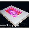 grow light plant grow light