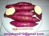 Purple Sweet Potato/ Japanese Sweet Potato from Vietnam