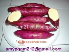 Purple Sweet Potato/ Japanese Sweet Potato from Vietnam