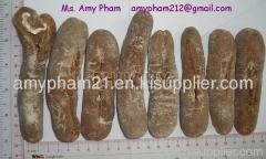 Dried 98% Sea Cucumber from Vietnam