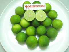 Seed/ Seedless Lemon from Vietnam