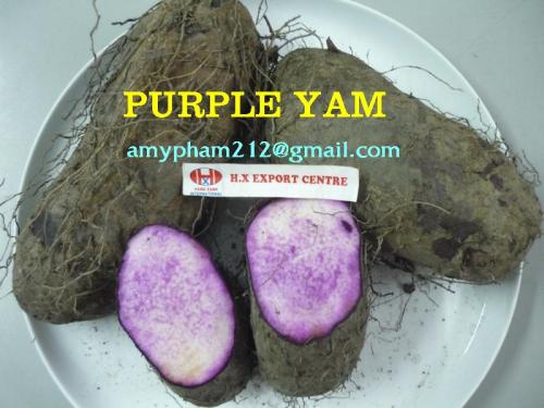Fresh Purple Yam from Vietnam