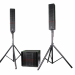 class-D amplifier subwoofer/ 4inch line array/ribbon driver