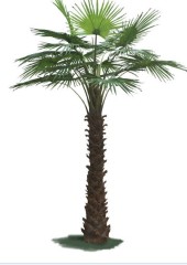 artificial palm tree