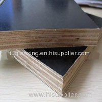 Film Faced Plywood Shuttering Plywood