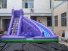 Blue gaint inflatable water slide