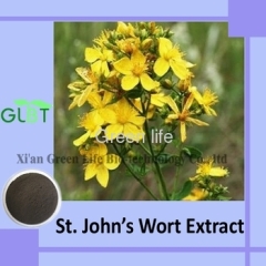 St John Wort Extract