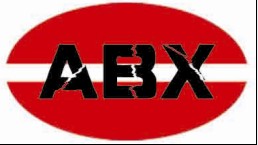 Nanjing ABX Bearing Co.Ltd