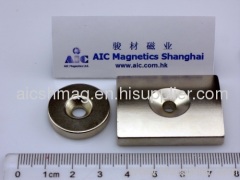 permanent magnet