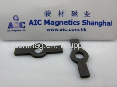 Hard Ferrite Magnet