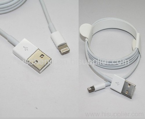 Lightning to USB Cable for iPhone5