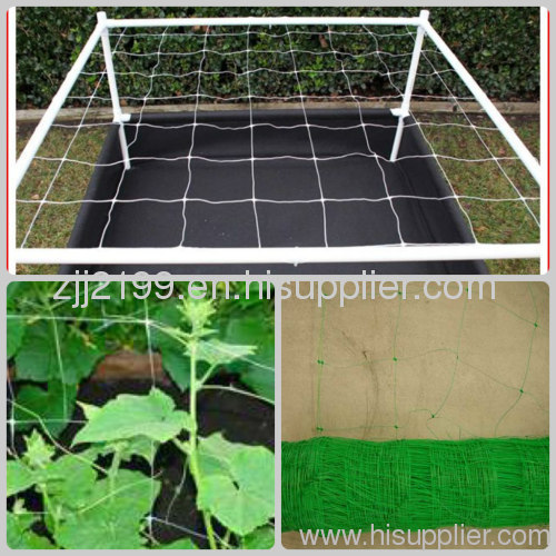 HDPE Plant Support Net 15*17 cm