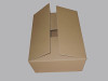 Eco friendly Corrugated Shipping Carton