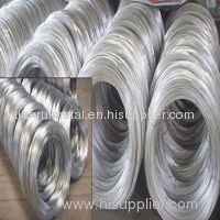 Galvanized Iron Wire