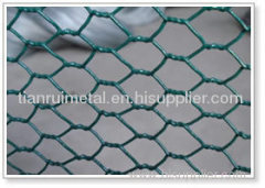 Hexagonal Wire Mesh