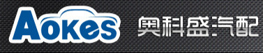 Ningbo Aokes Auto Parts Manufacturing Co.,Ltd.