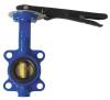 NBR EPDM Wafer and Lug, u and flanged butterfly valve