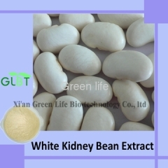 White Kidney Bean Extract