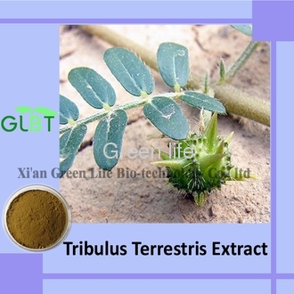 Tribulus Terrestris Extract Total Saponins Plant Extract