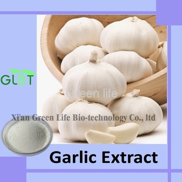 Garlic Extract Allicin Plant Extract