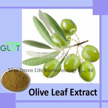 Olive Leaf Extract