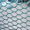 Hexagonal Chicken Wire Mesh/Netting with Low Carbon Iron Wire