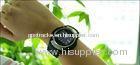 SOS Wrist GPS Tracker Watch Phone with 1.5 Inch TFT Touch Screen, Multi Languages