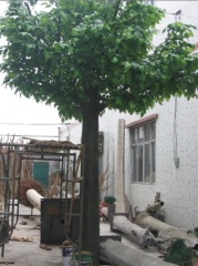 decoration fruit tree