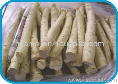 fresh horseradish 2012