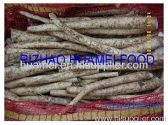 2012 fresh horseradish