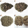 Silvery vermiculite raw